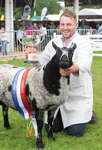 2019_Supreme Sheep at the Great Yorkshire Shop - Dutch Spotted Sheep owned by Ali Jackson (pictured) from Annan, Scotland.  Photography by Richard Walker